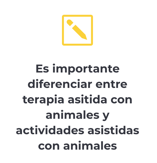 Diferencia entre terapia y actividad
